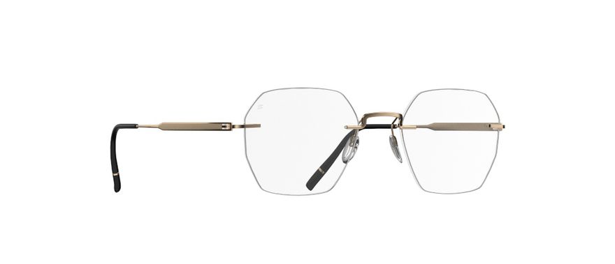 The Visionary 5586 | Silhouette® [US]