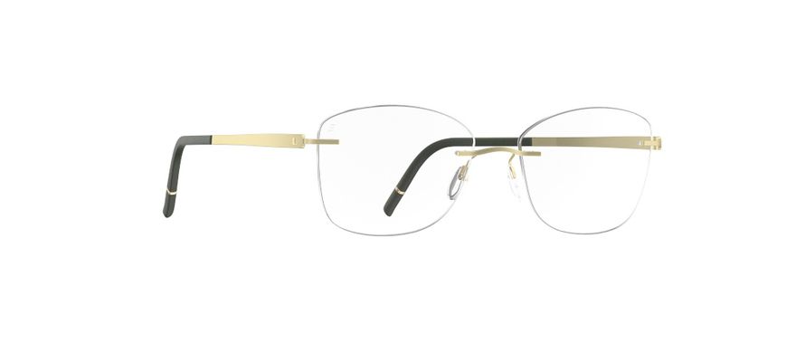 Momentum 5529 | Silhouette® [US]