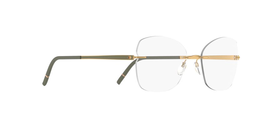 Momentum 5529 | Silhouette® [US]