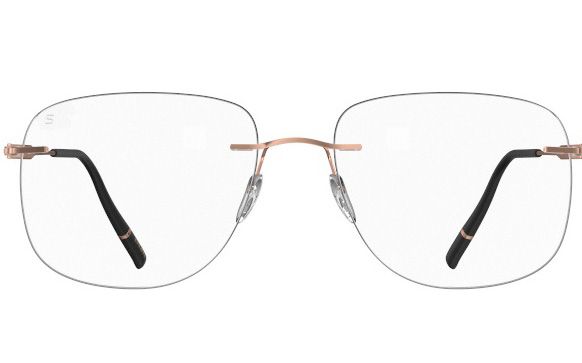 The Timeless Visionary 5603 NL 3530
